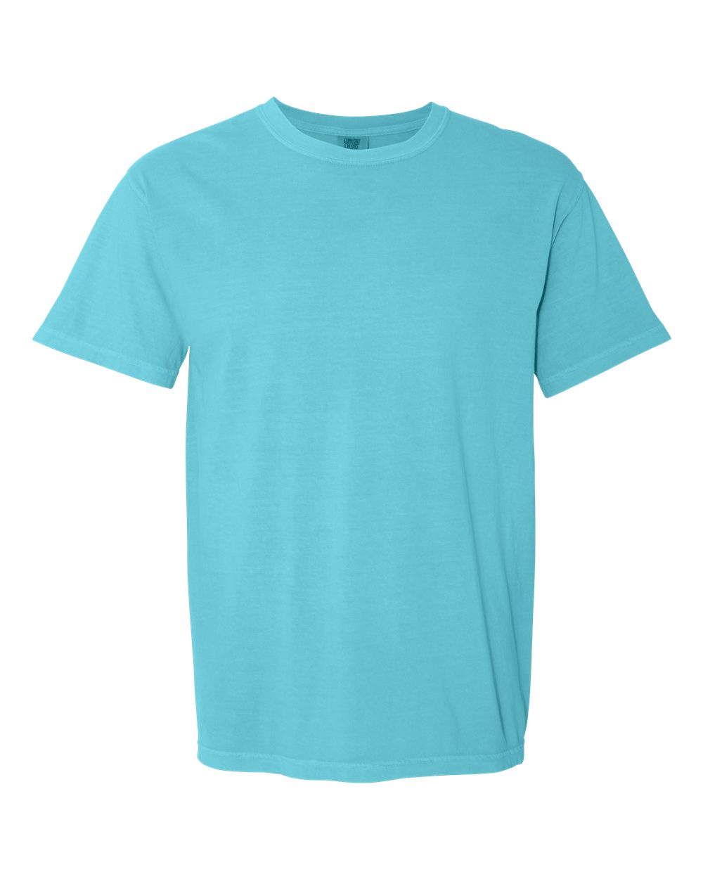 Comfort Color Adult T-shirt (blank only)